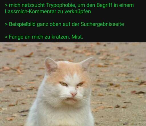Trypophobie