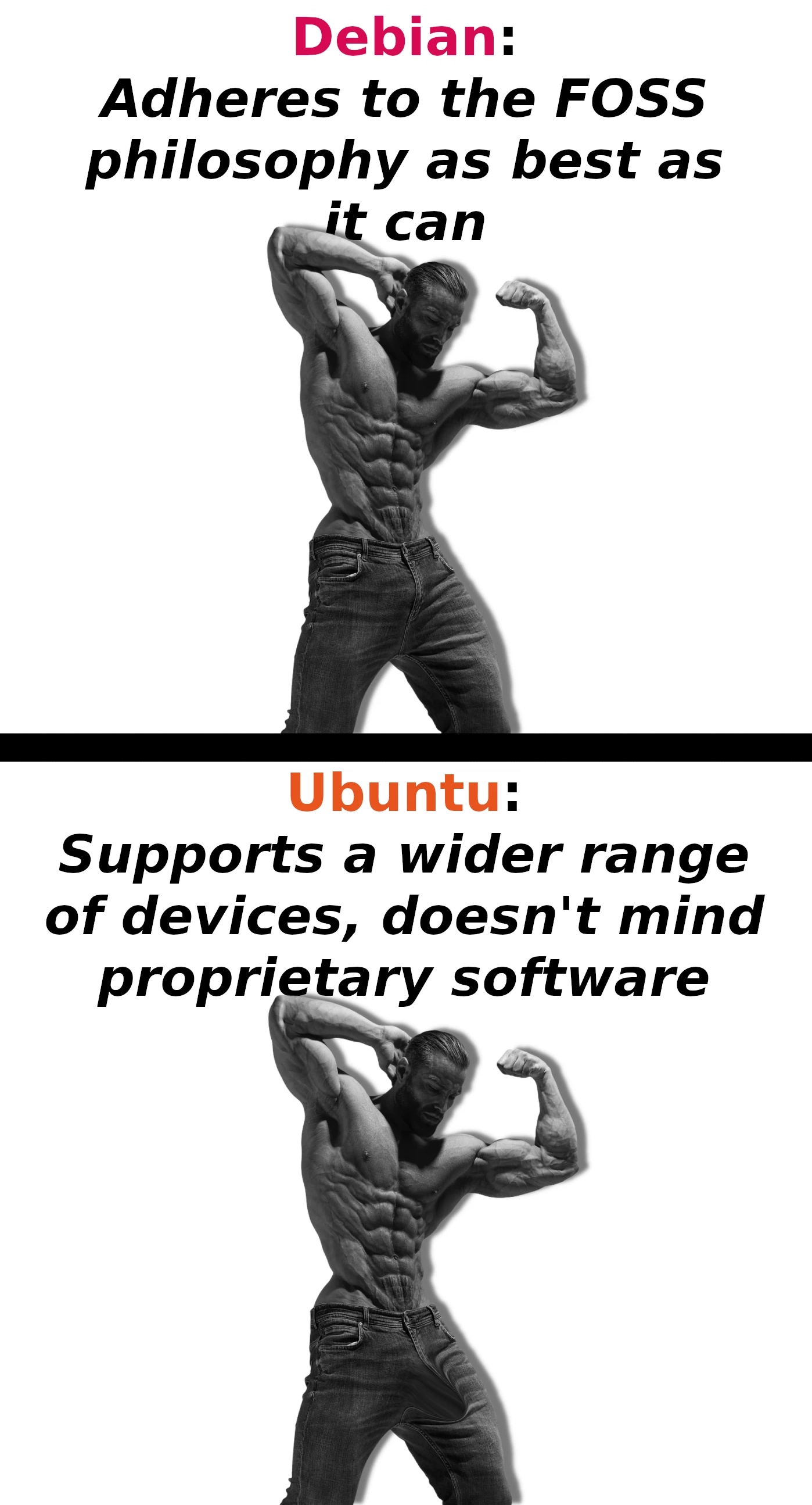 Debian: Adheres to the FOSS philosophy. Ubuntu: supports a wider range of devices, doesn't mind proprietary software. An image of a gigachad is under each text.