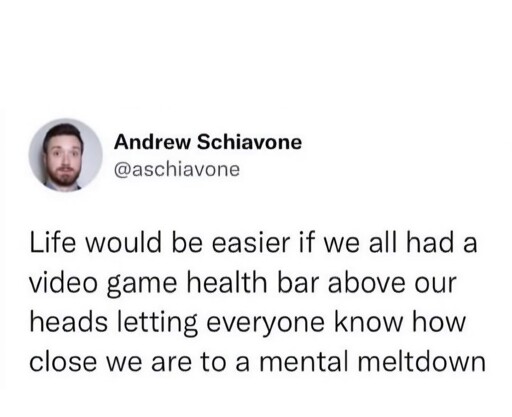 Life would be easier if we had a health bar saying how close we were to a mental breakdown 