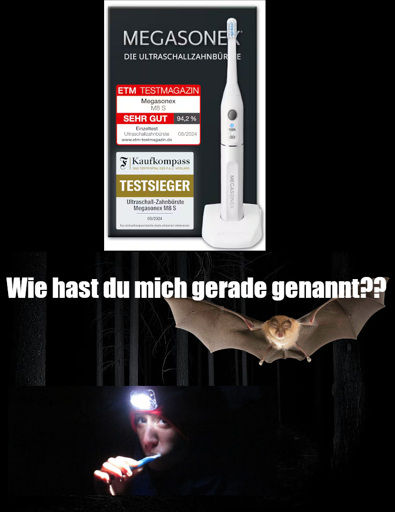 Bild einer Ultraschallzahnbürste. Darunter ein Bild einer Person, die sich im dunklen Wald die Zähne putzt. Über ihr fliegt eine Fledermaus und fragt "Wie hast du mich gerade genannt?".