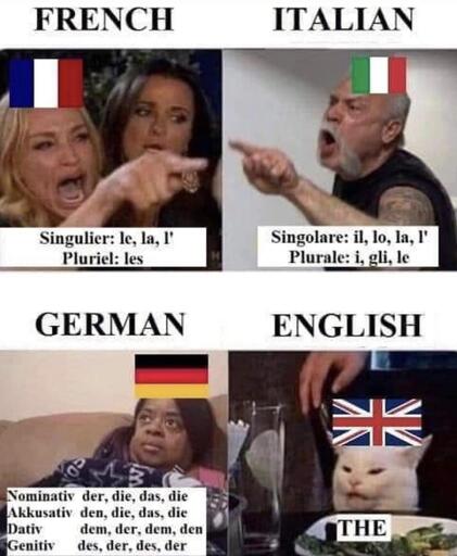 In einem Memme werden die gramatikalischen Artikel von Frankreich, Italien Deutschland und England gegenübergestellt